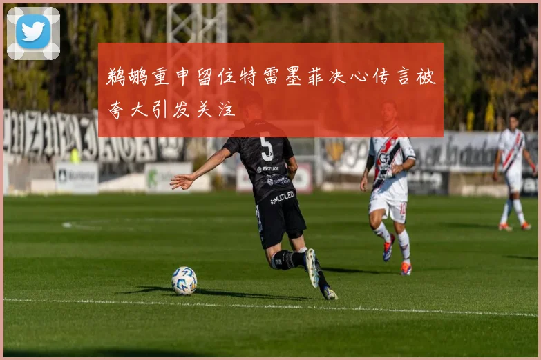 鹈鹕重申留住特雷墨菲决心传言被夸大引发关注