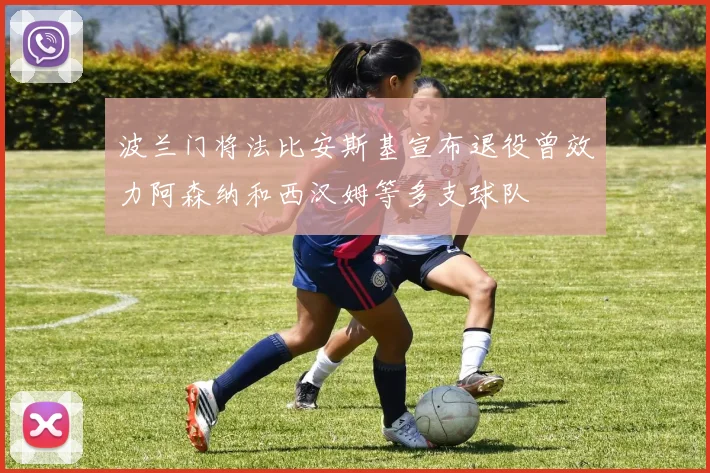 波兰门将法比安斯基宣布退役曾效力阿森纳和西汉姆等多支球队